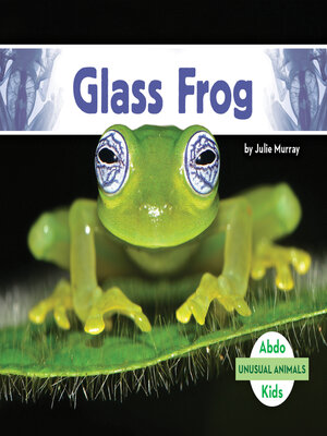 cover image of Glass Frog